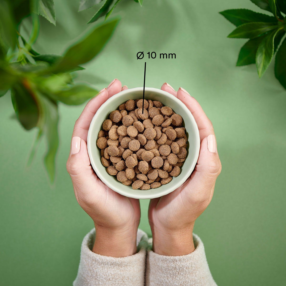 Purenatural Cat Adult Sensitive Pork & Wild Boar