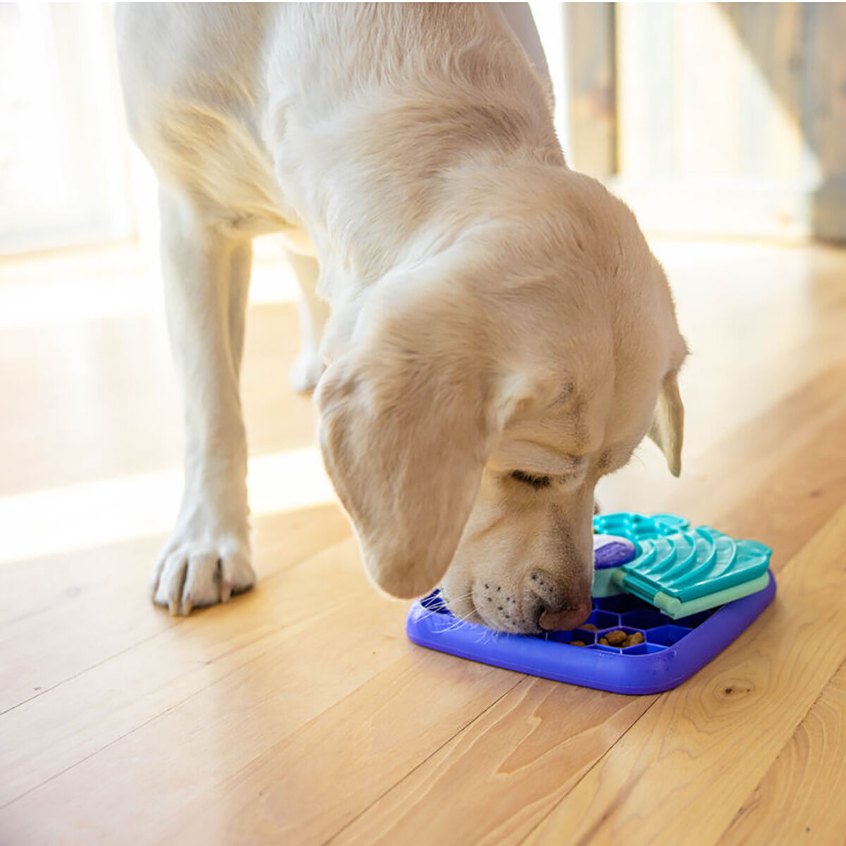 Nina Ottosson Lick N Flip purple S