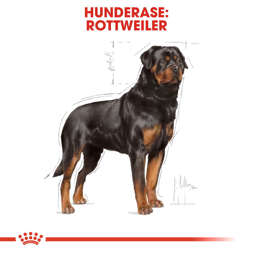 Royal Canin Rottweiler Adult tørrfôr til hund