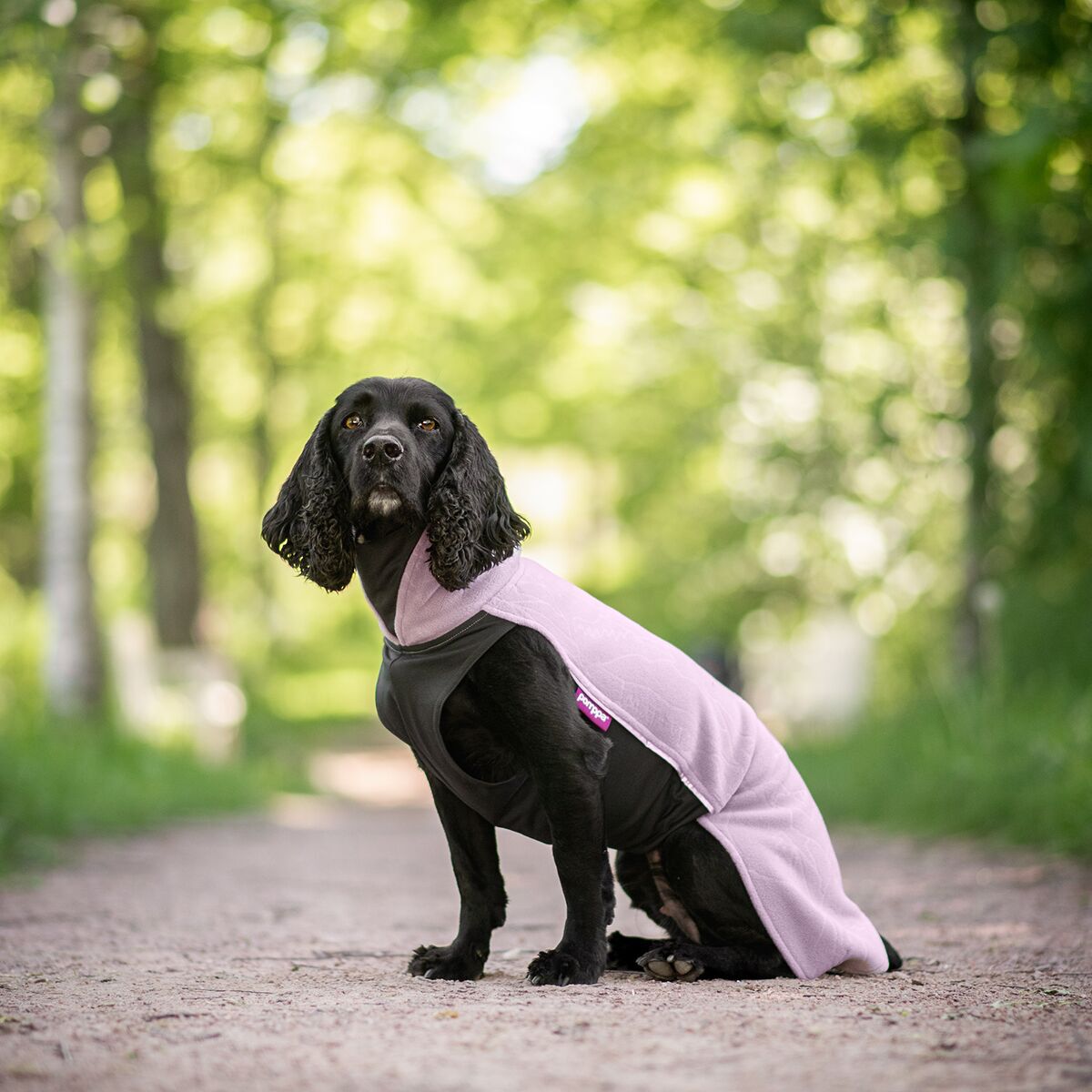 Pomppa Jumppa Fleecedekken til Hund Elderberry 25 - Hundegensere