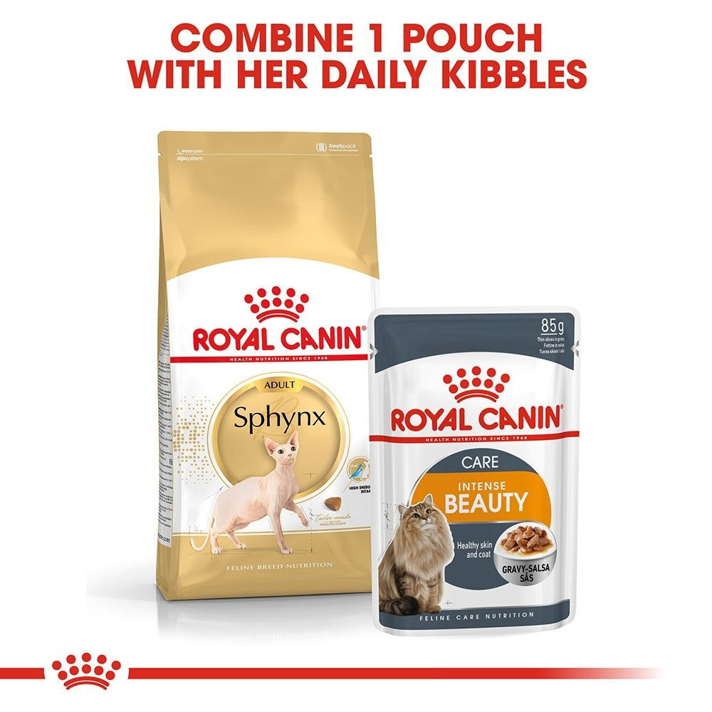 Royal Canin Sphynx Adult tørrfôr til katt