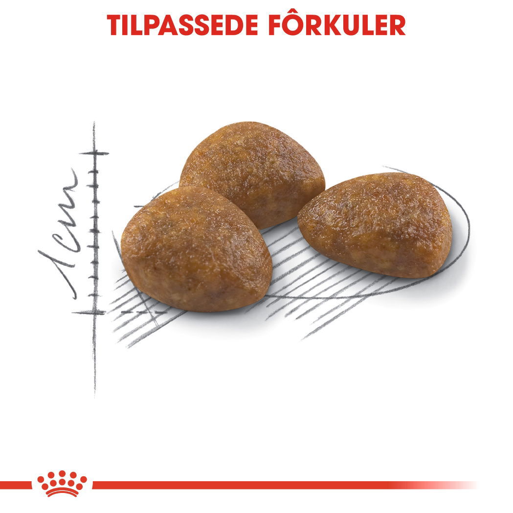 Royal Canin Outdoor 7+ Ageing tørrfôr til katt