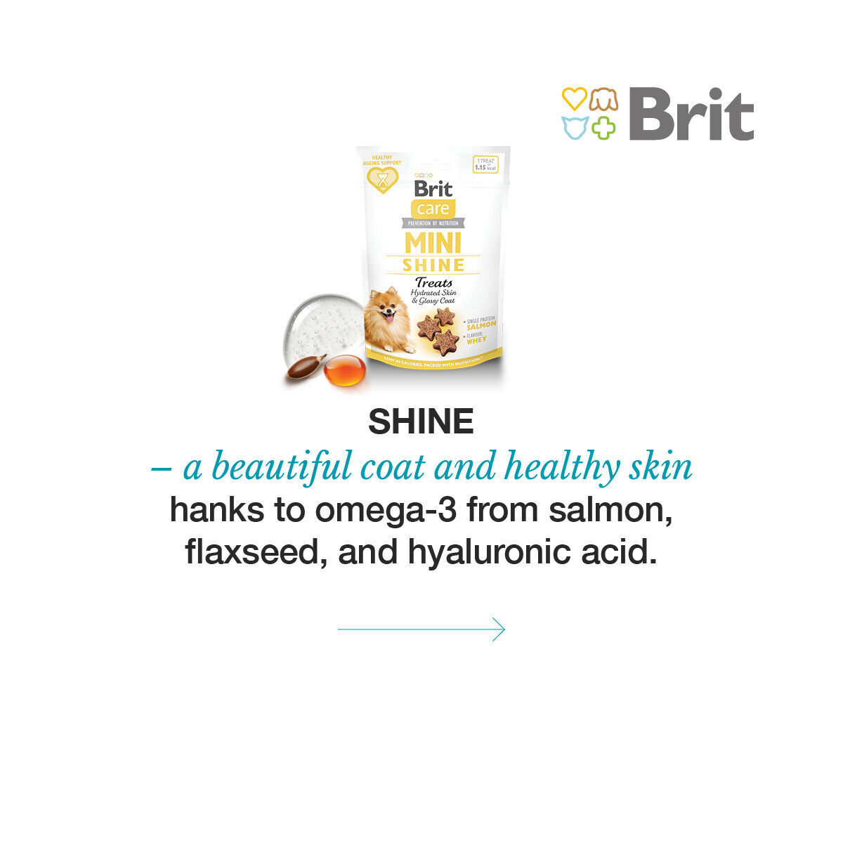 Brit Care Dog Mini treats SHINE 50 g