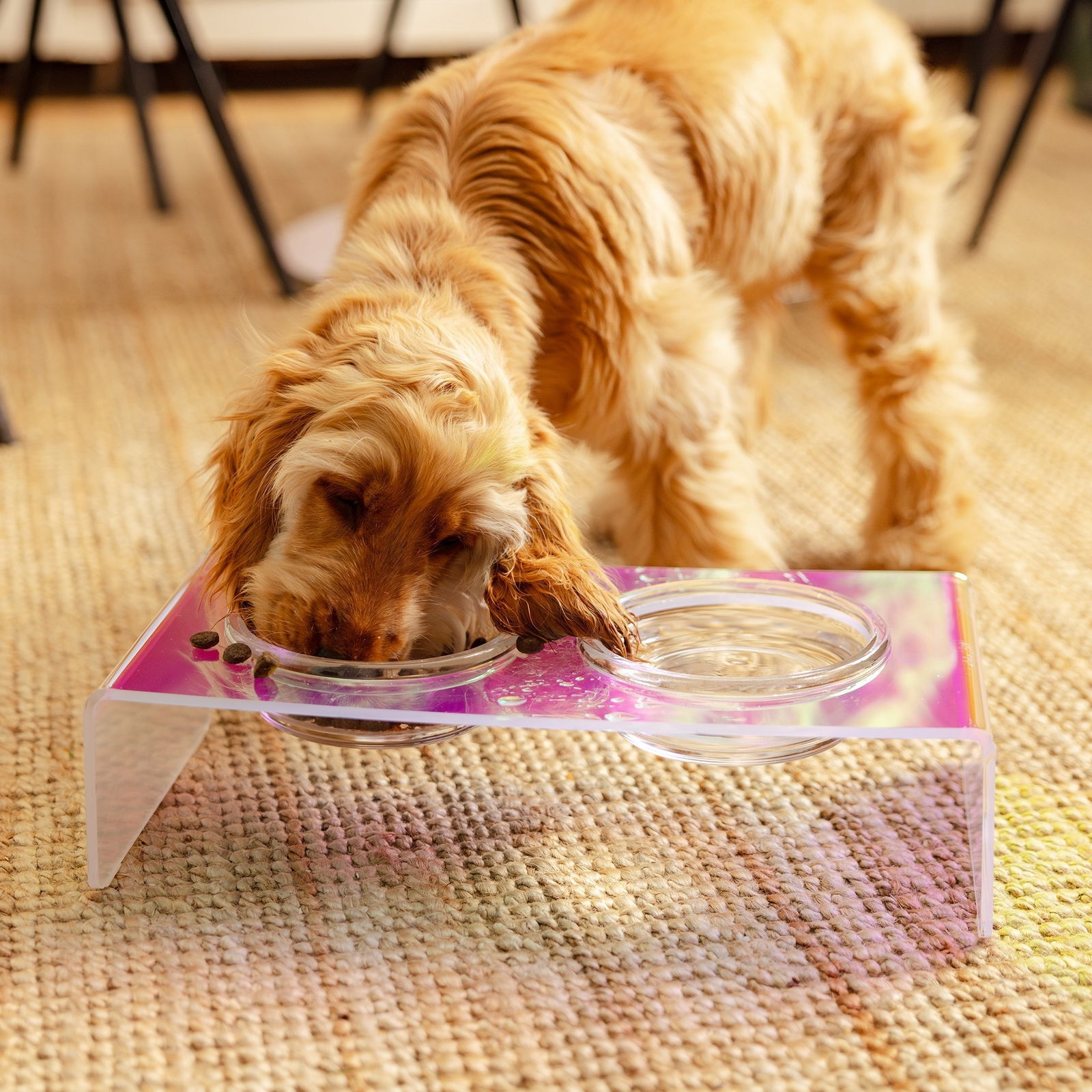 Little&Bigger Aurora acrylic dinner set