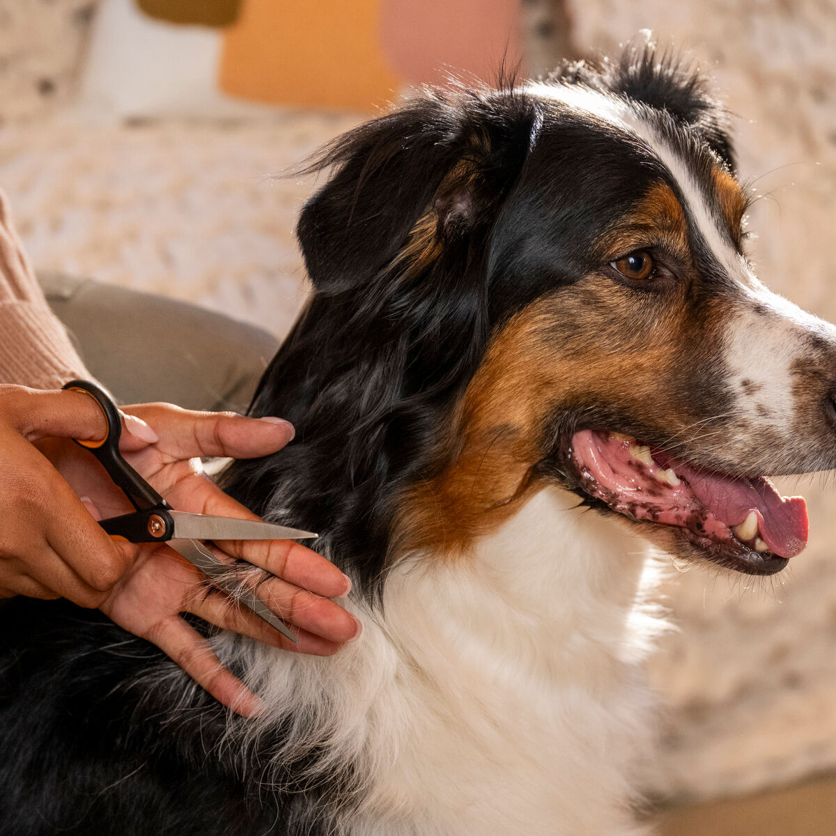 Fiskars trimming scissors​