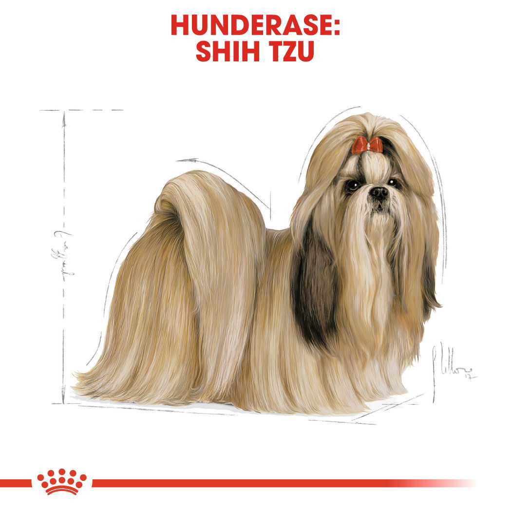 Royal Canin Shih Tzu Adult tørrfôr til hund