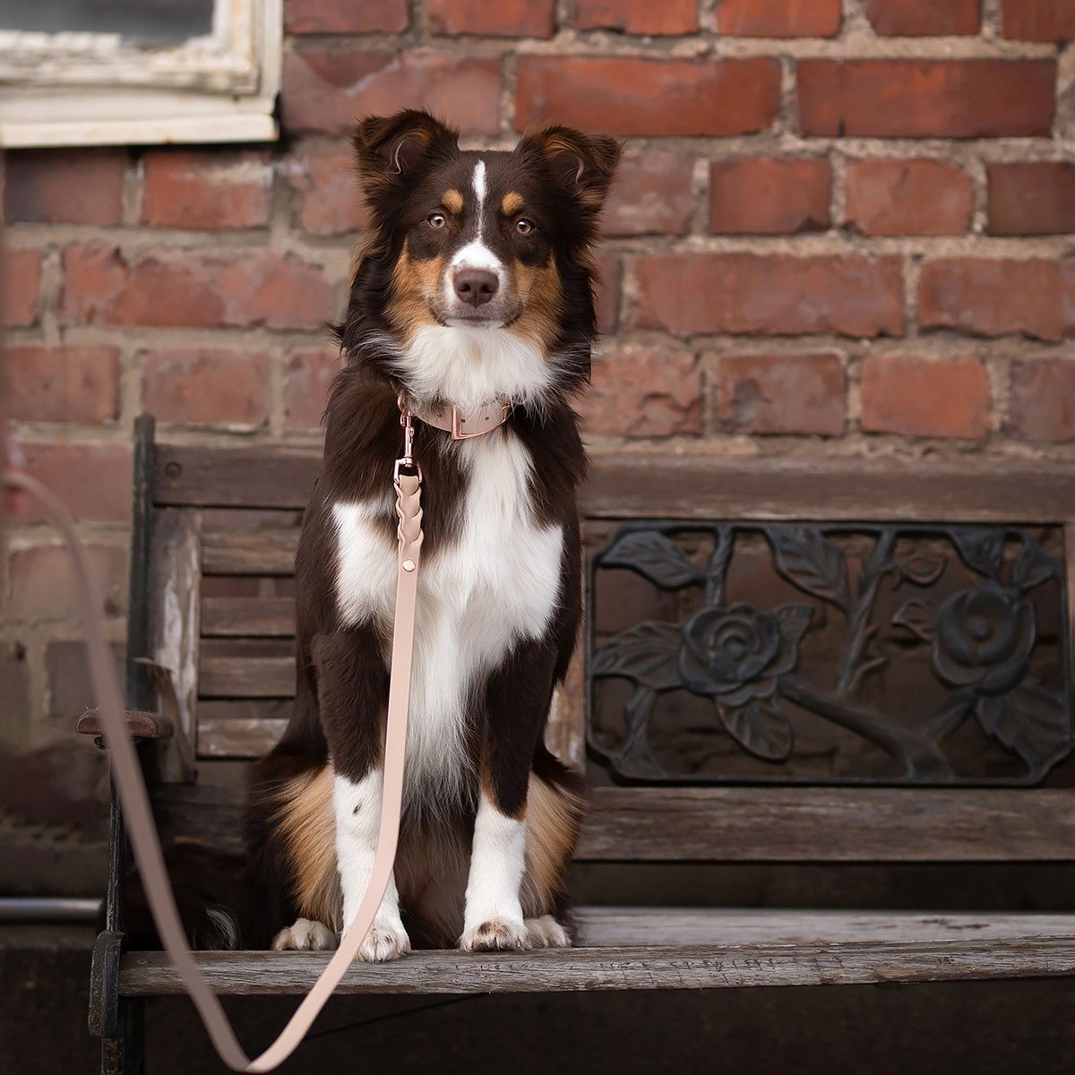 Tyylivoitto Classy collar, nude