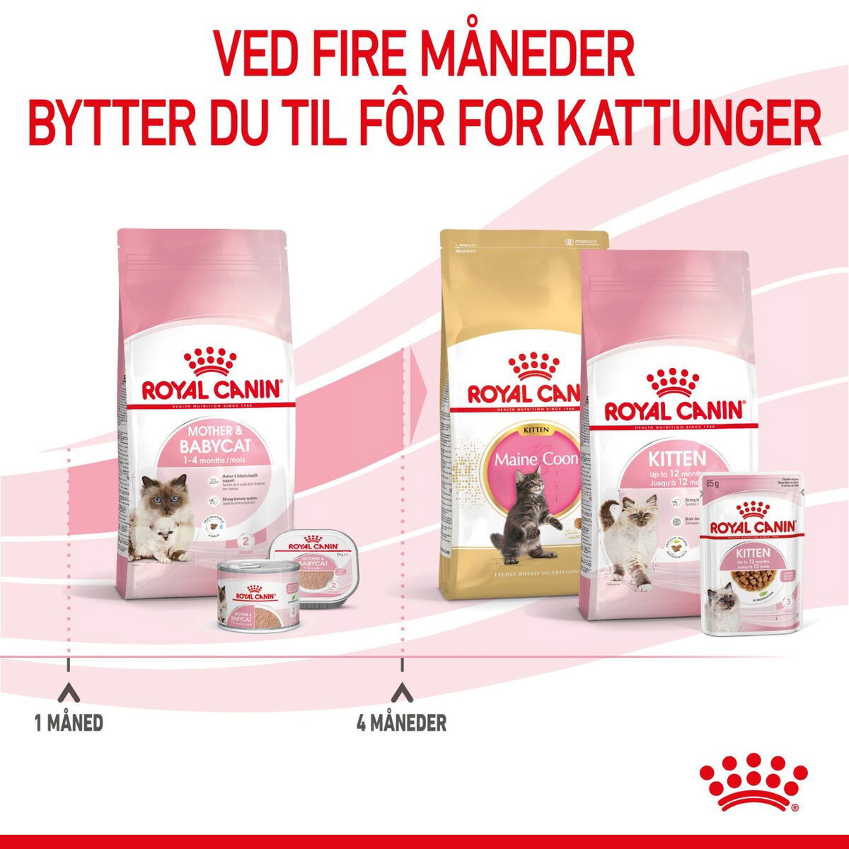 Royal Canin Mother & Babycat tørrfôr til katt og kattunge