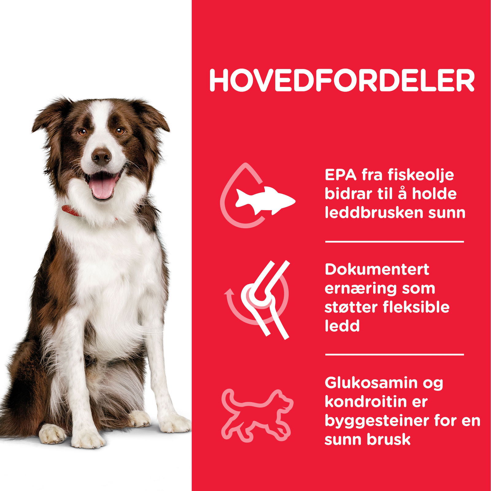 Hill's Science Plan Dog Adult Healthy Mobility Medium