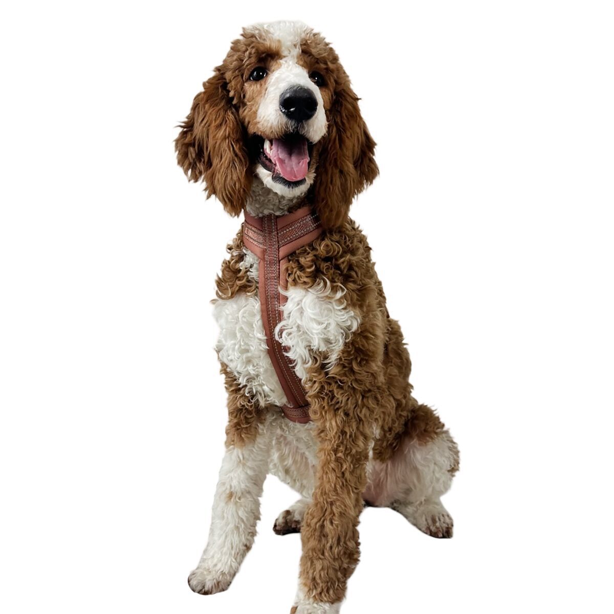 Trufois Comfy Harness Brown