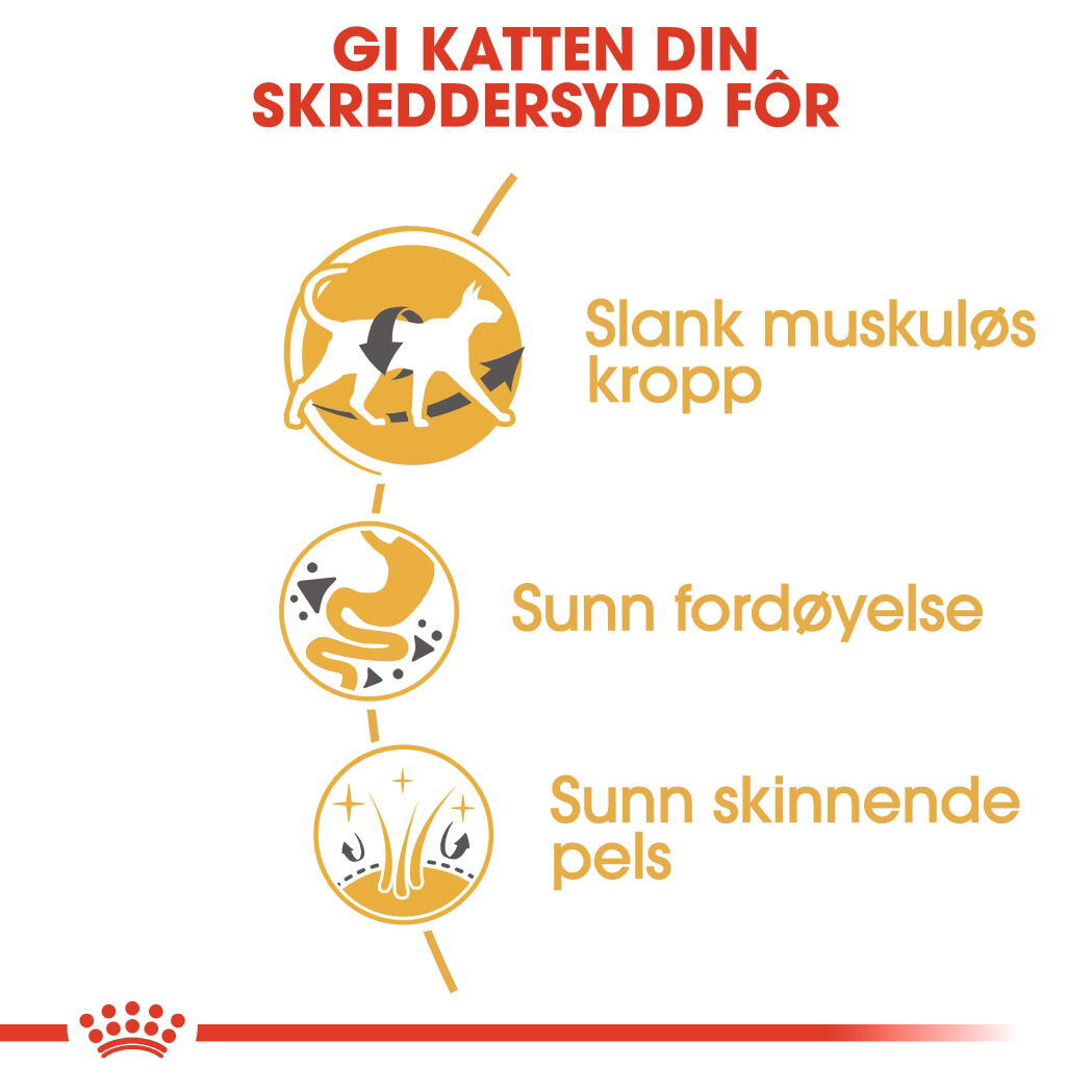 Royal Canin Siamese Adult tørrfôr til katt