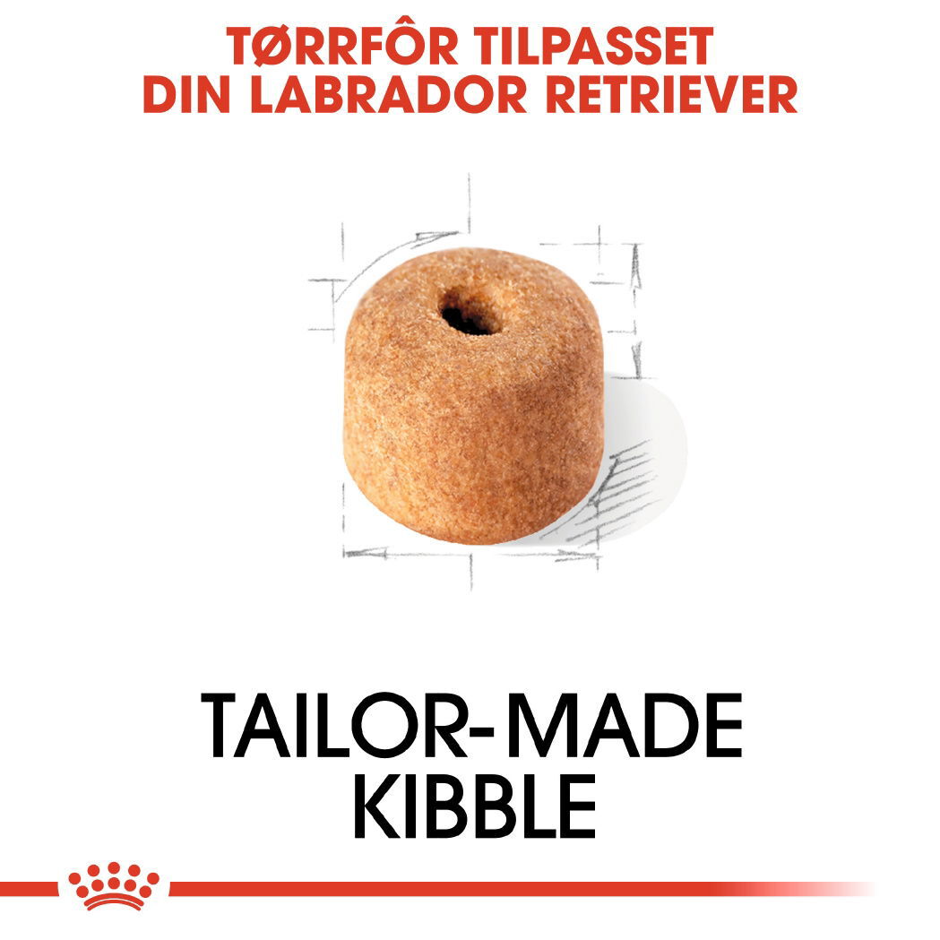 Royal Canin Labrador Retriever Adult tørrfôr til hund