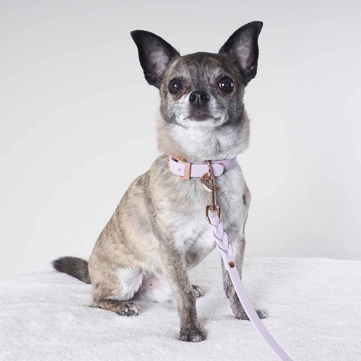 Tyylivoitto Braid leash, lavender