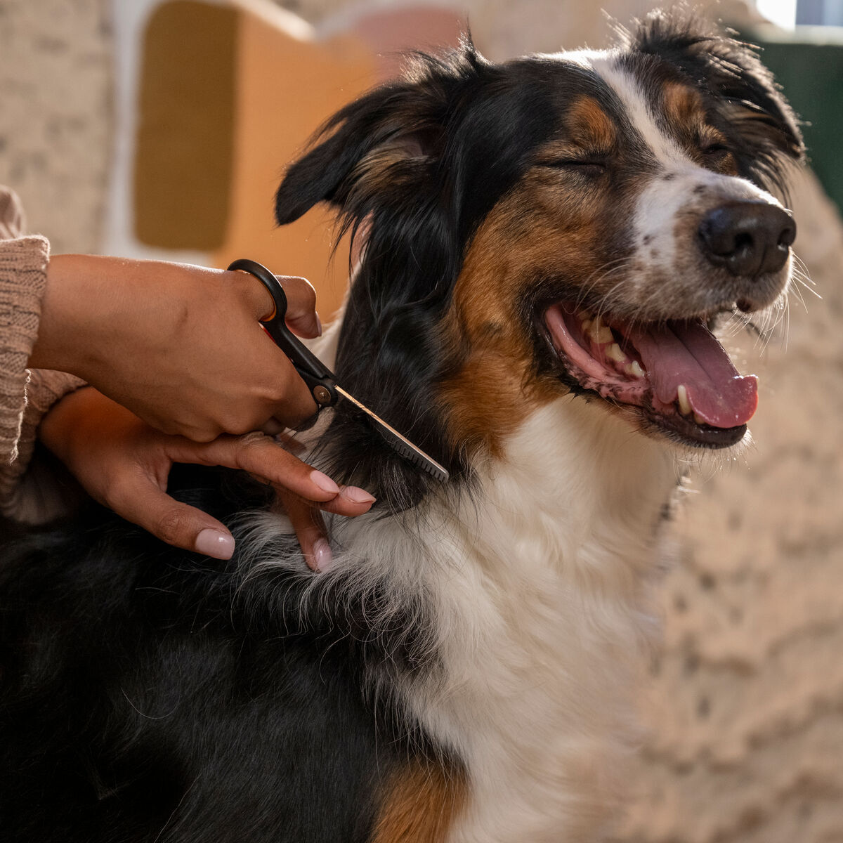 Fiskars blending scissors 1-sided