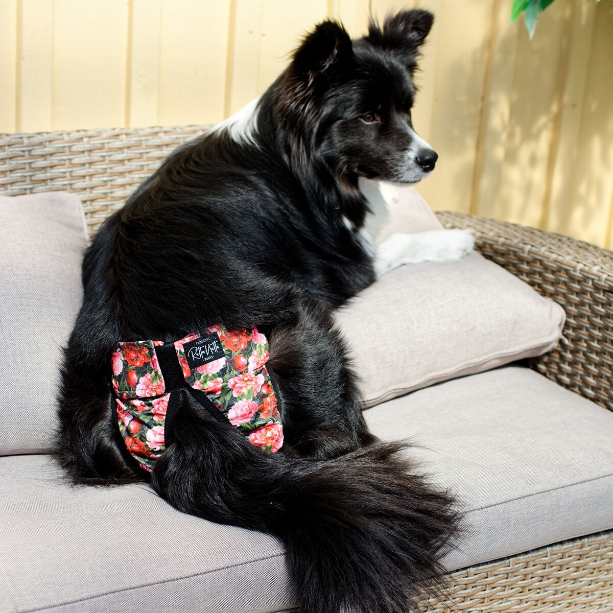 RuttuNuttu heat pants wraparound Royal Peony