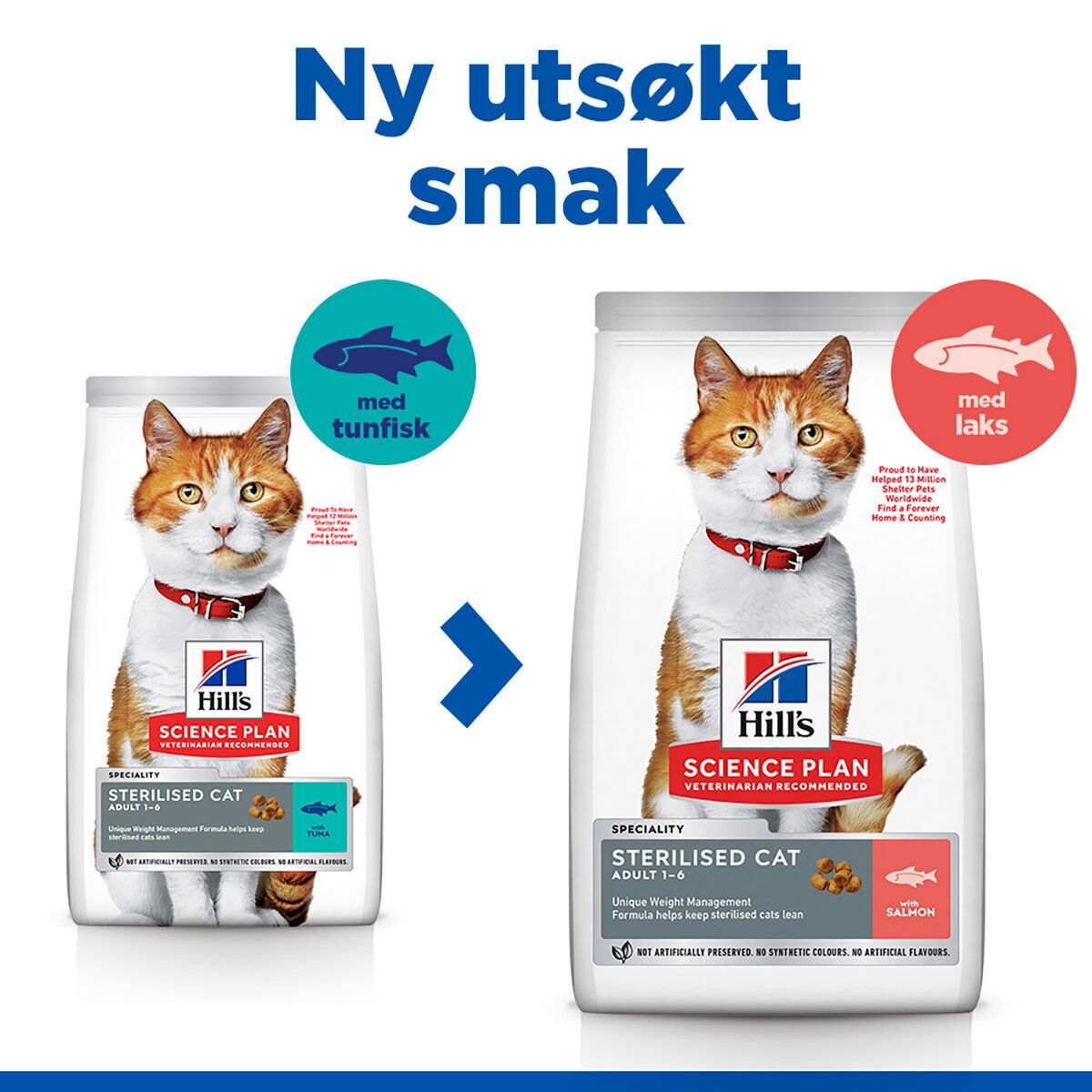 Hill's SP Feline Adult Sterilised Salmon