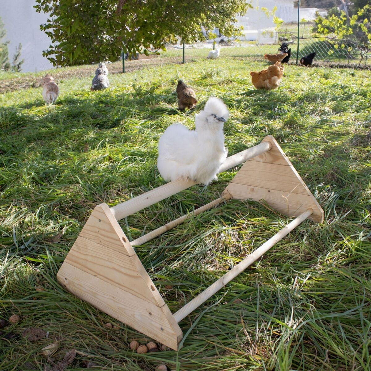 Perch for Hens 56 cm