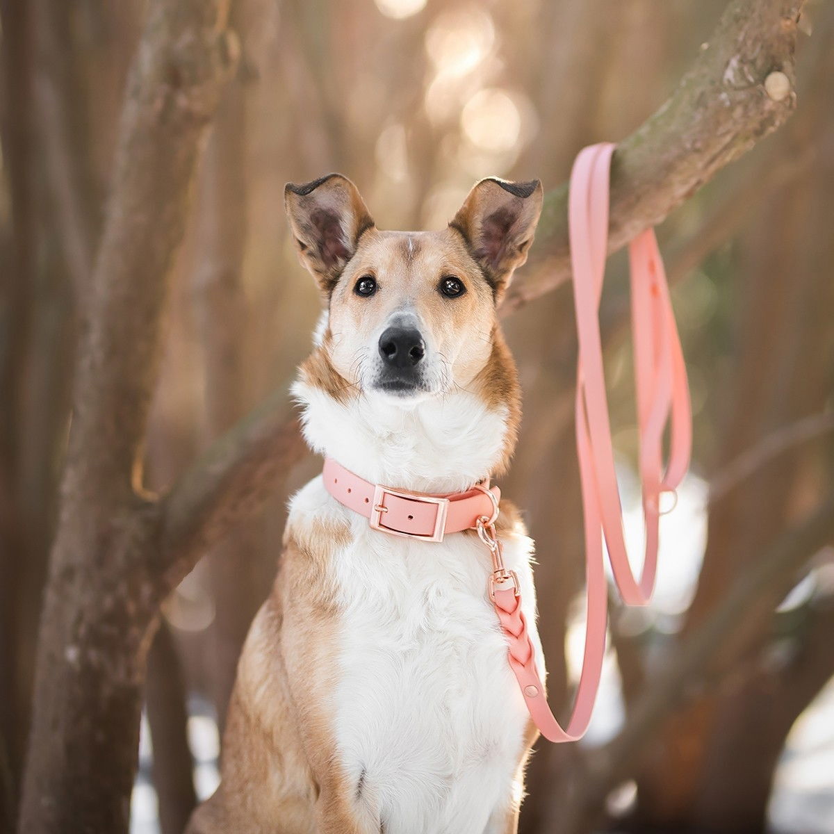 Tyylivoitto Classy dog collar, peach/rosegold