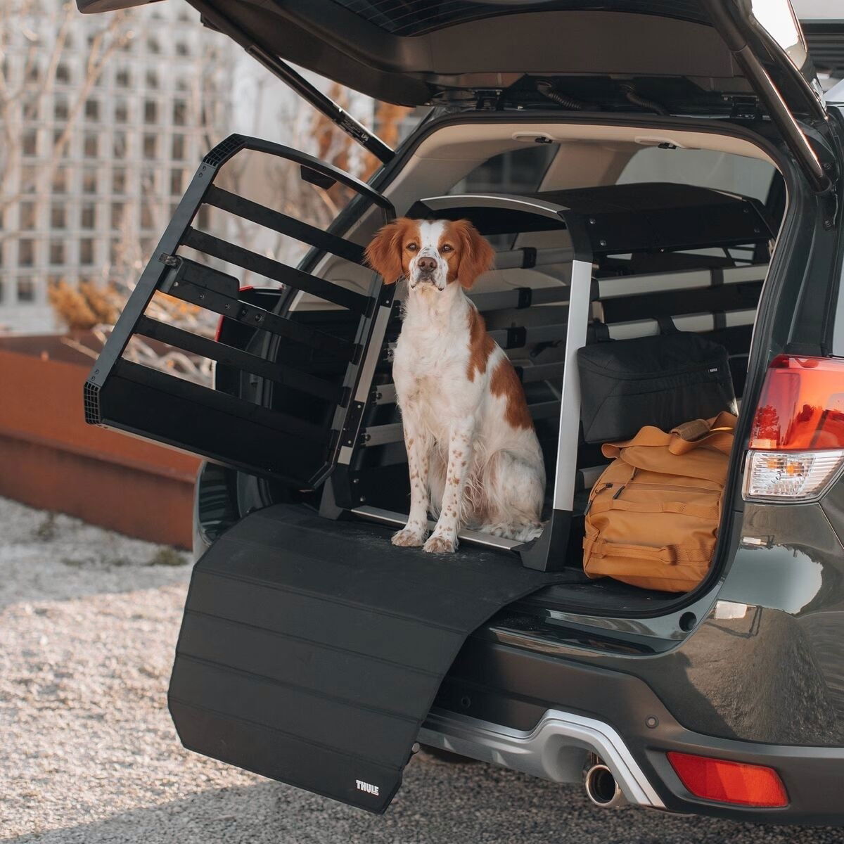 Thule Bumper Protector