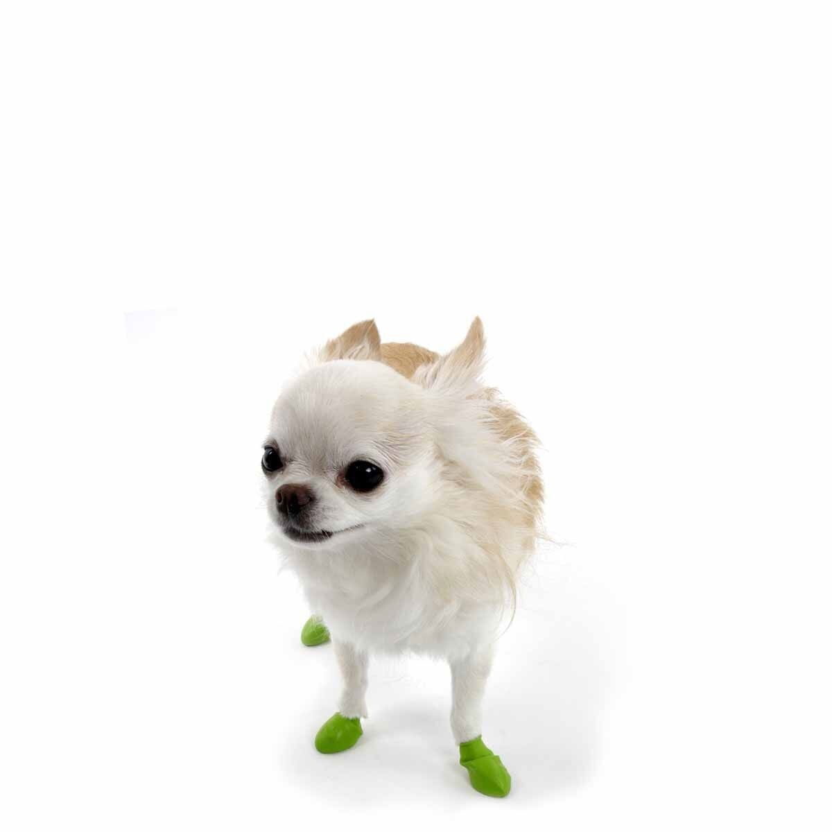 PawZ dog rubber boots color 12pcs