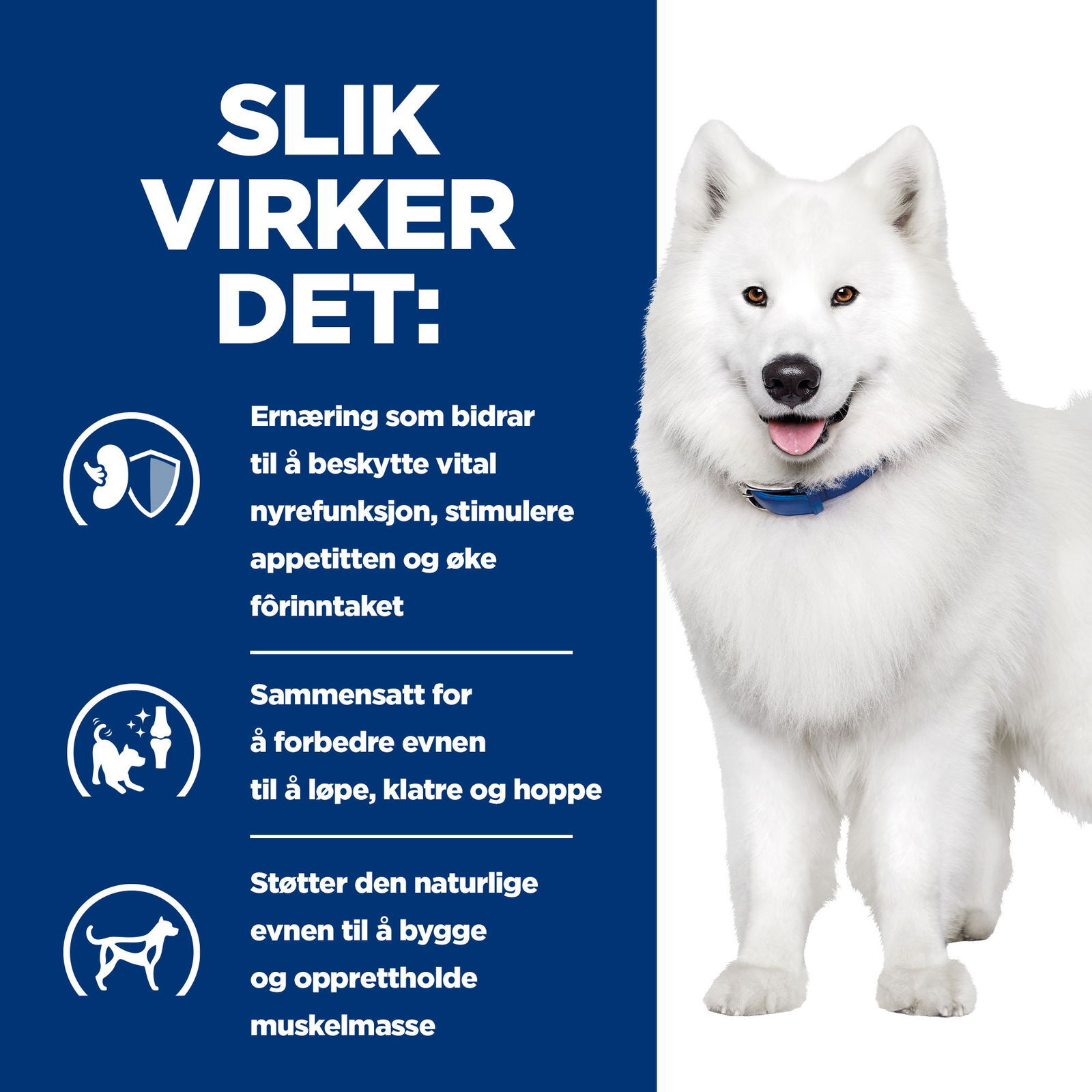 Hills Diet Dog k/d + Mobility 12kg