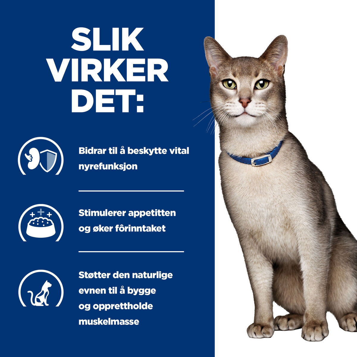 Hill's PD Feline k/d Chicken 156g