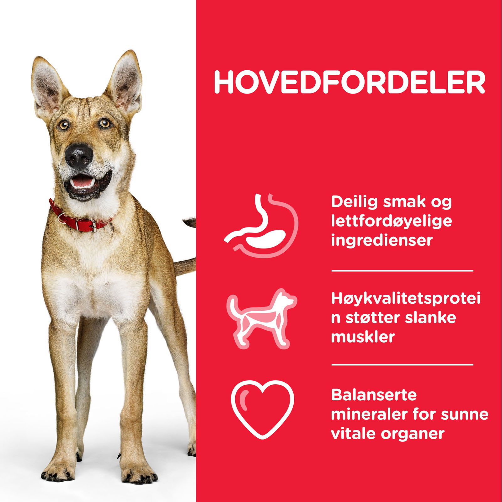 Hill's Science Plan Dog Adult Performance