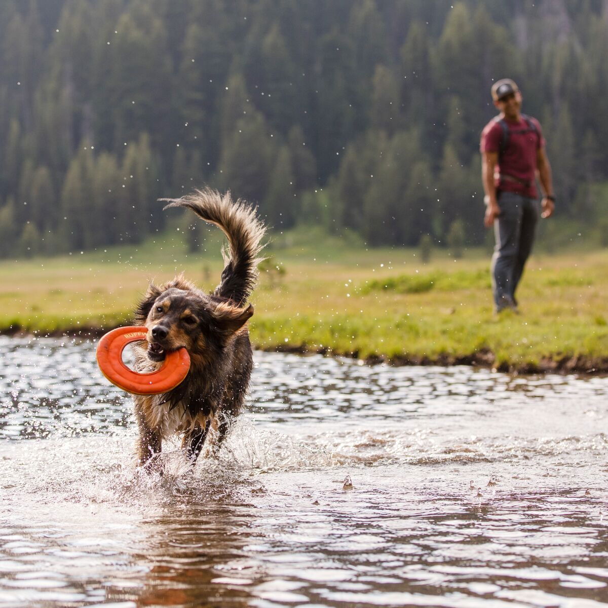 Ruffwear Hydro Plane™ Campfire Orange
