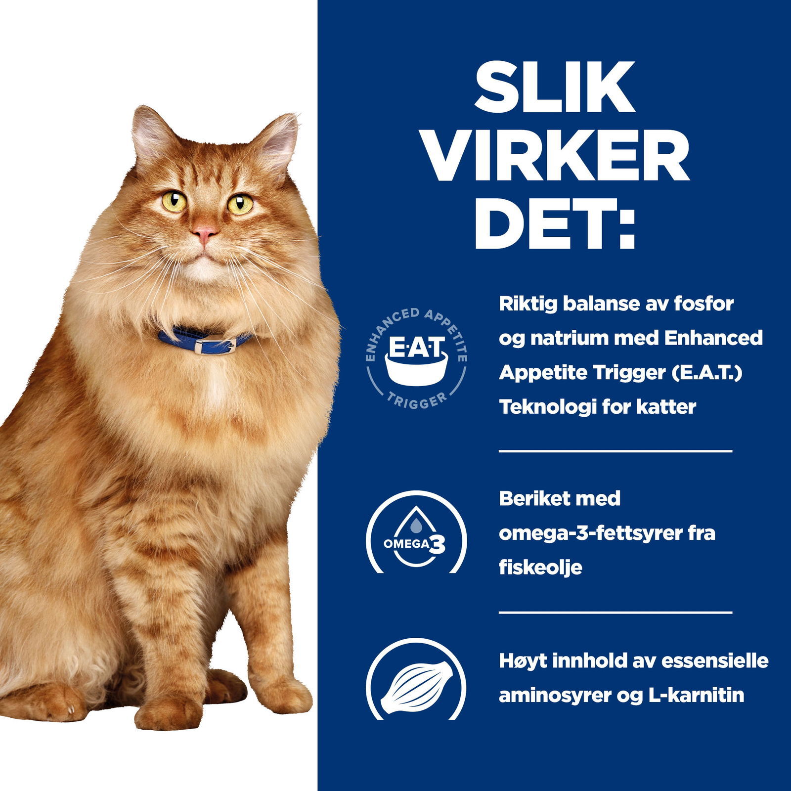 Hills Diet Cat k/d + Mobility 2kg