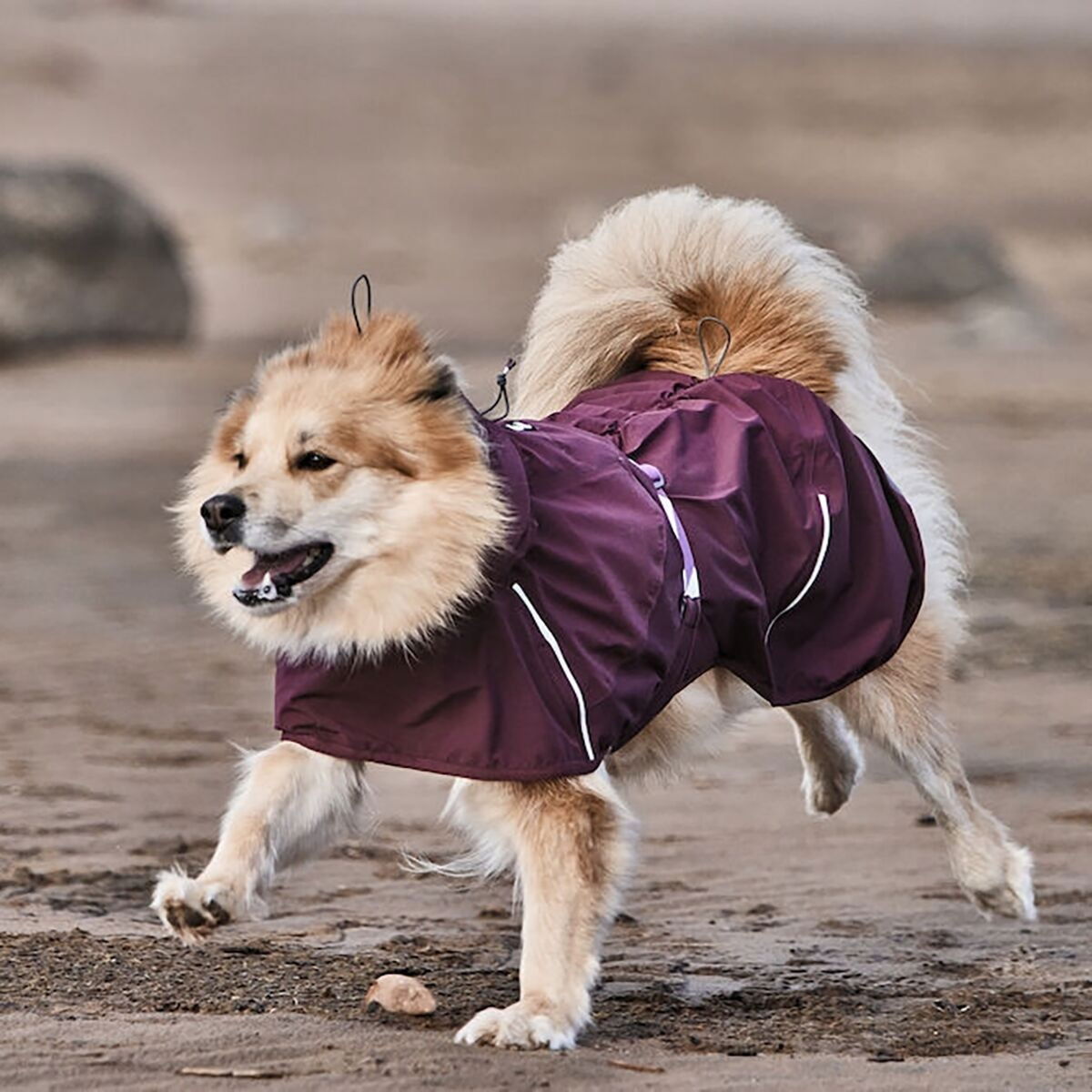 Hurtta Mudventure ECO raincoat, eggplant