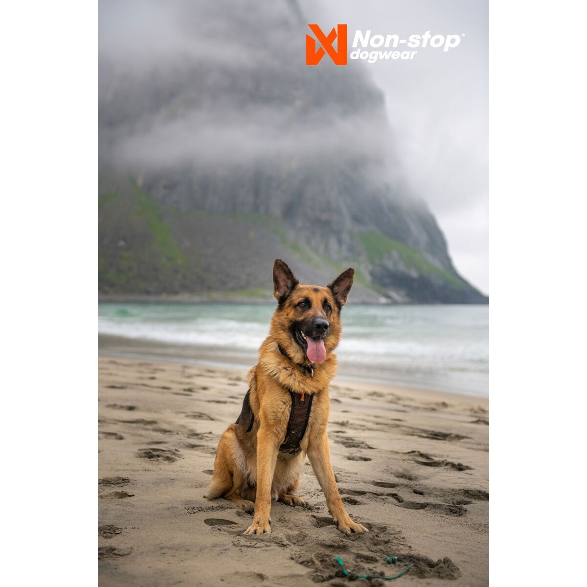 non-Stop Rock harness black/orange