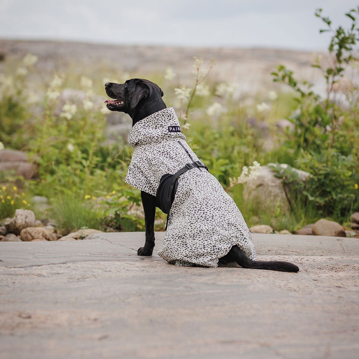 PAIKKA Raincoat 2.0