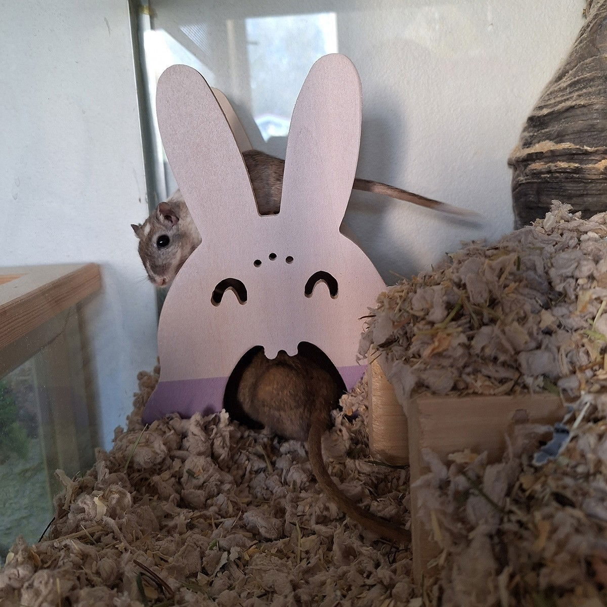 Duvoplus Small animal wooden house, rabbit