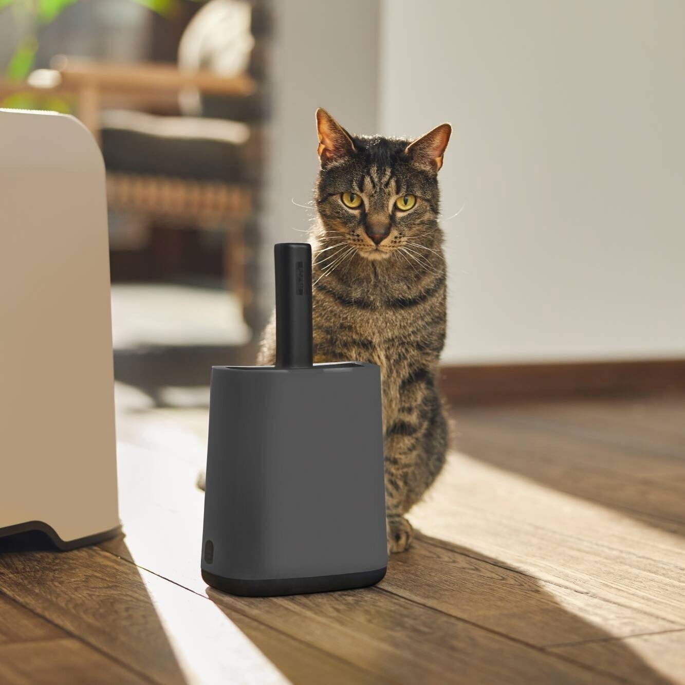 MyPet Biala Litter Scoop&Holder Anthrazite