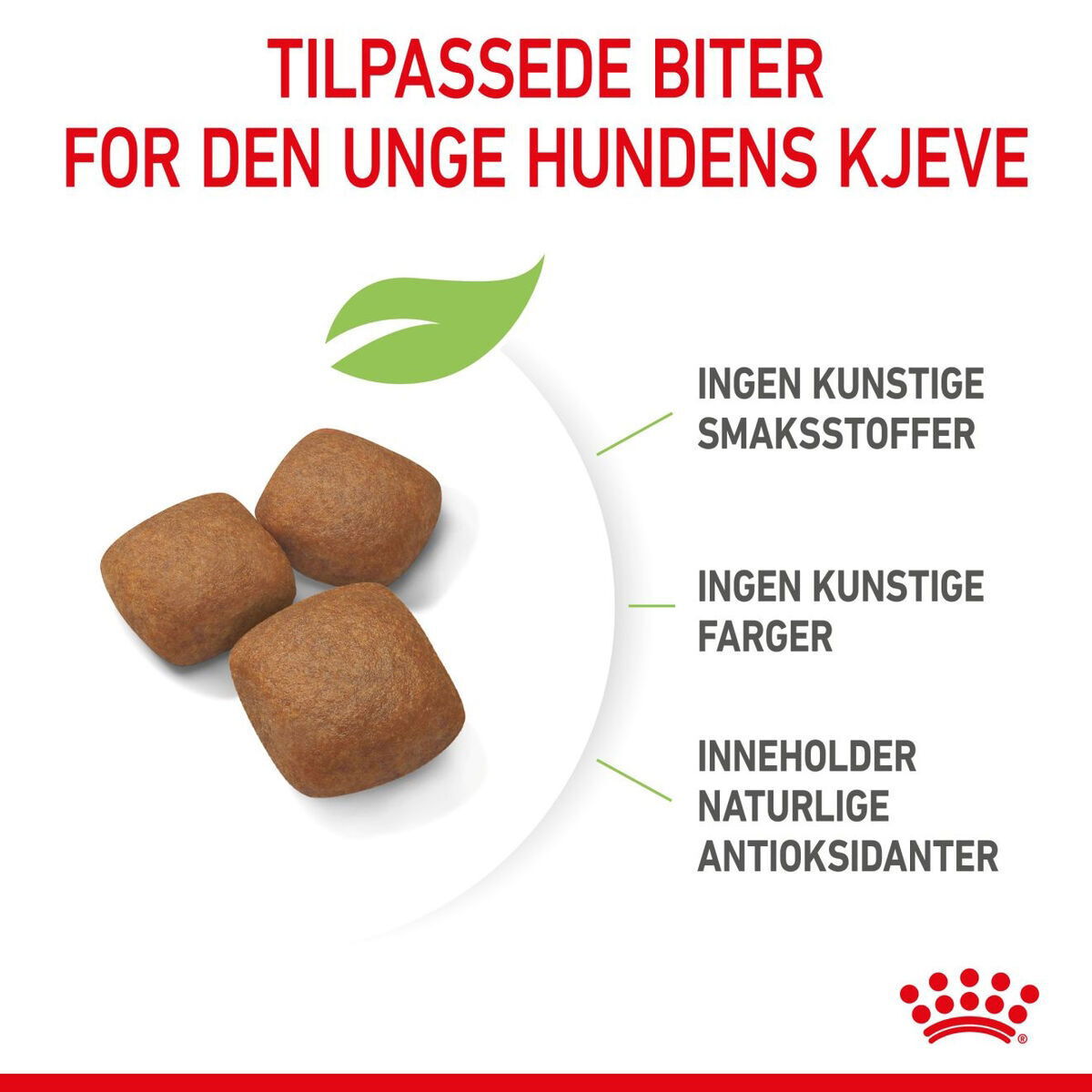 Royal Canin Giant Junior tørrfôr til valp