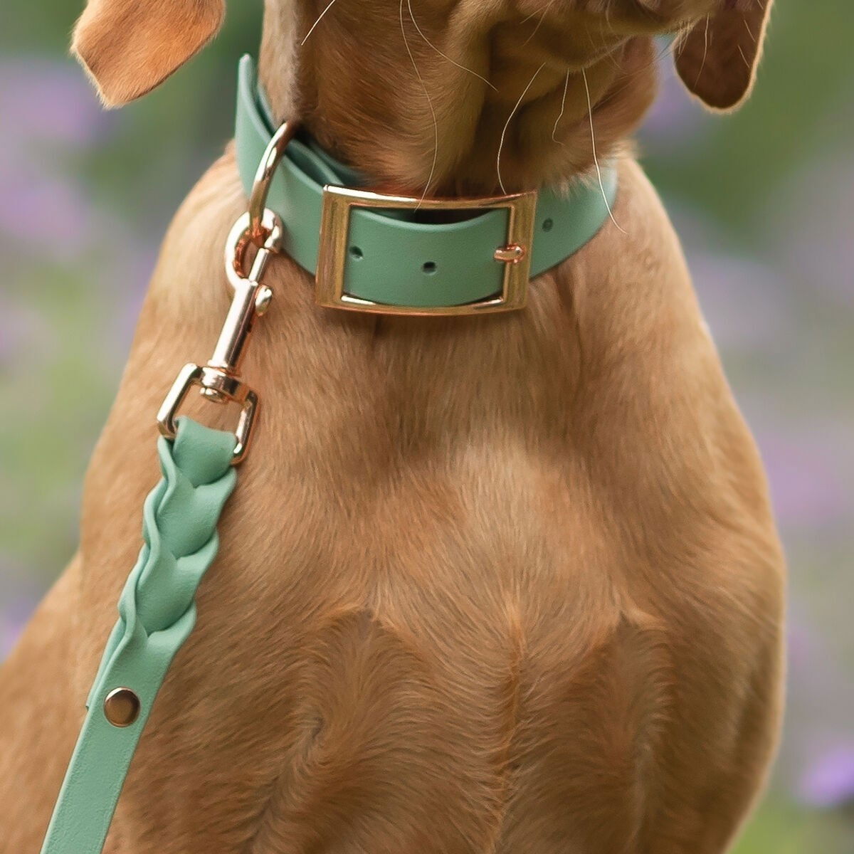 Tyylivoitto Classy collar, sage/rosegold