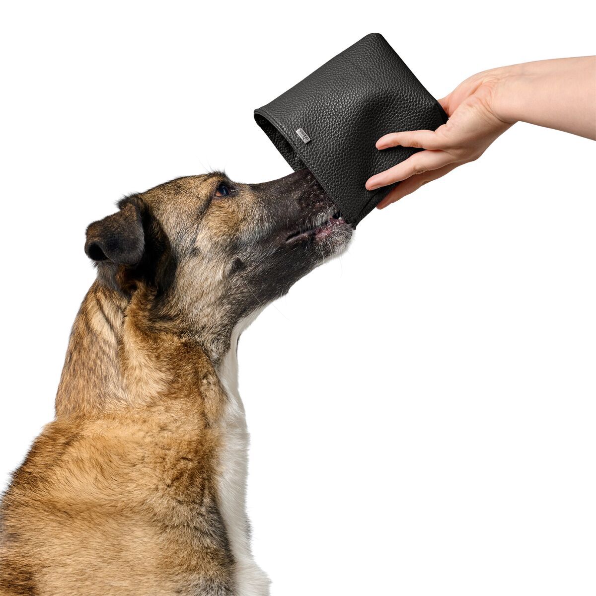 Hunter Treat Bag