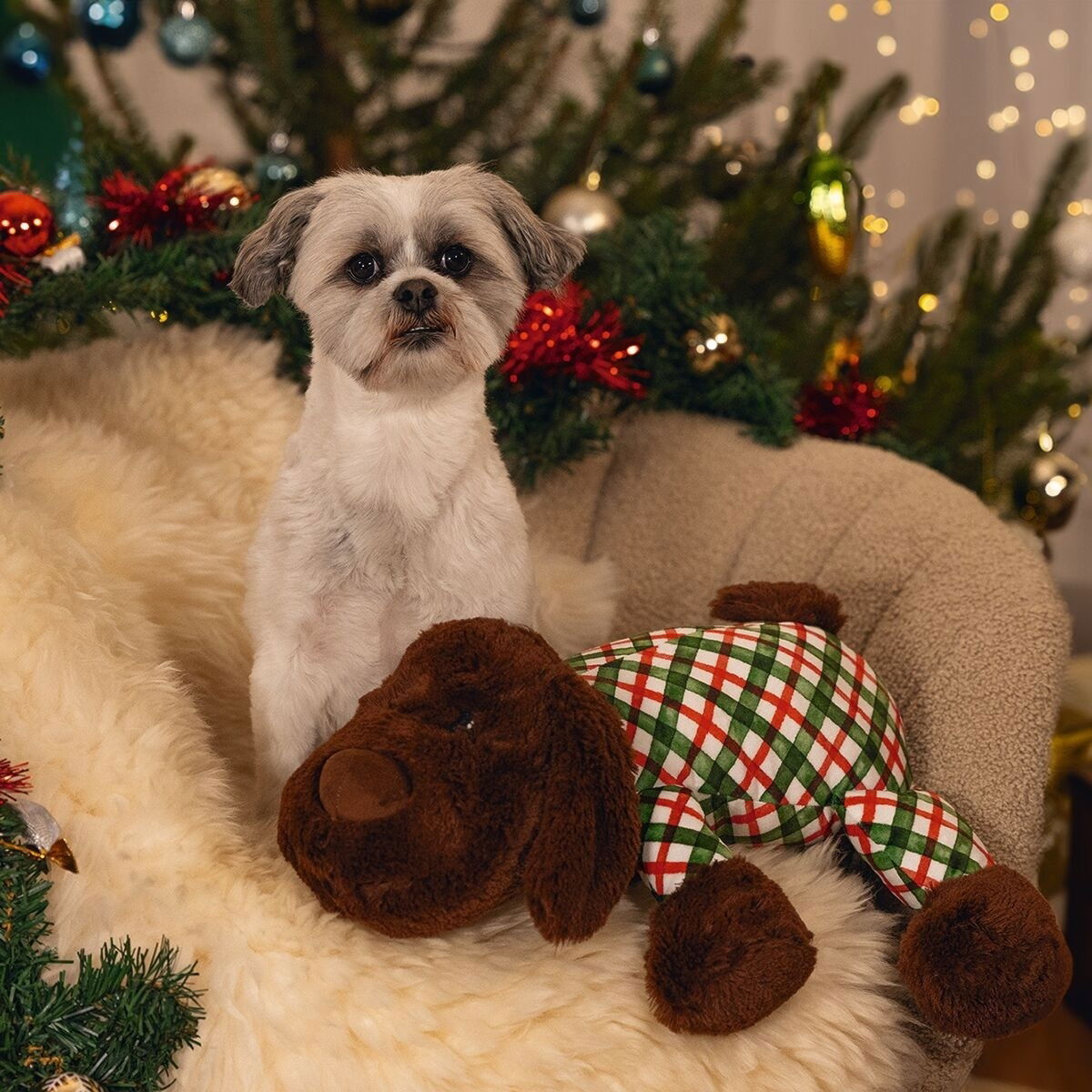 Beeztees Cuddle Dog Arrow XL