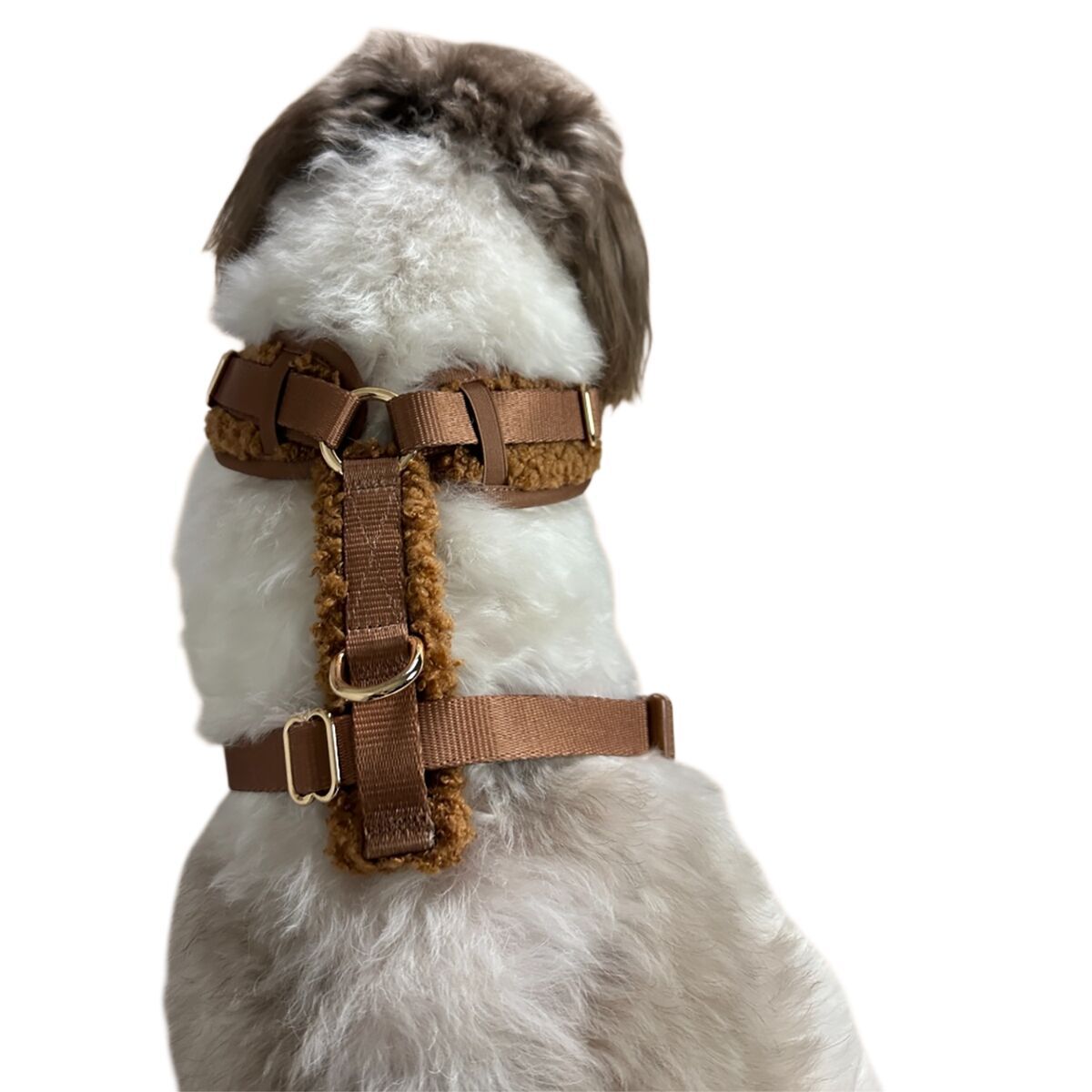 Trufois Lite Harness Chocolate Brown