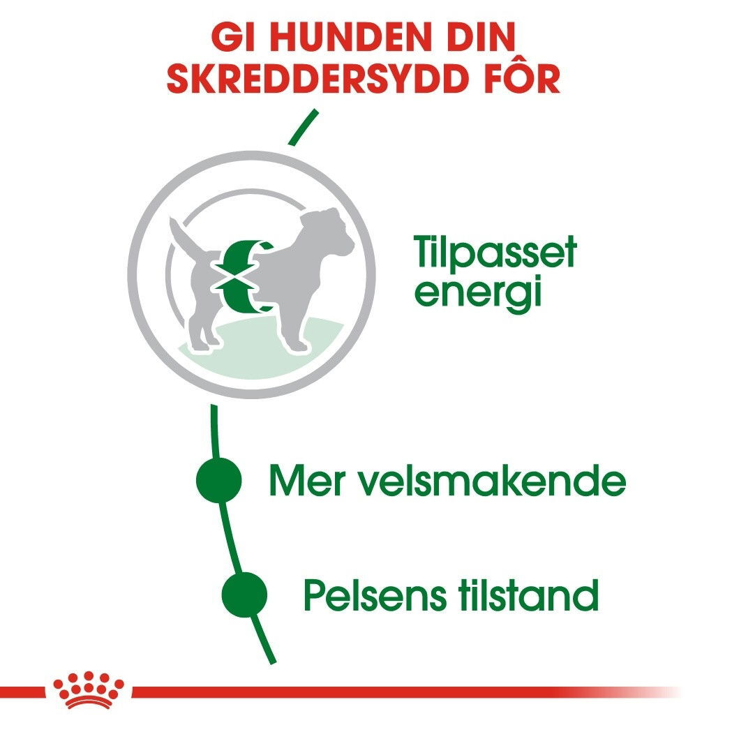 Royal Canin Mini Adult tørrfôr til hund