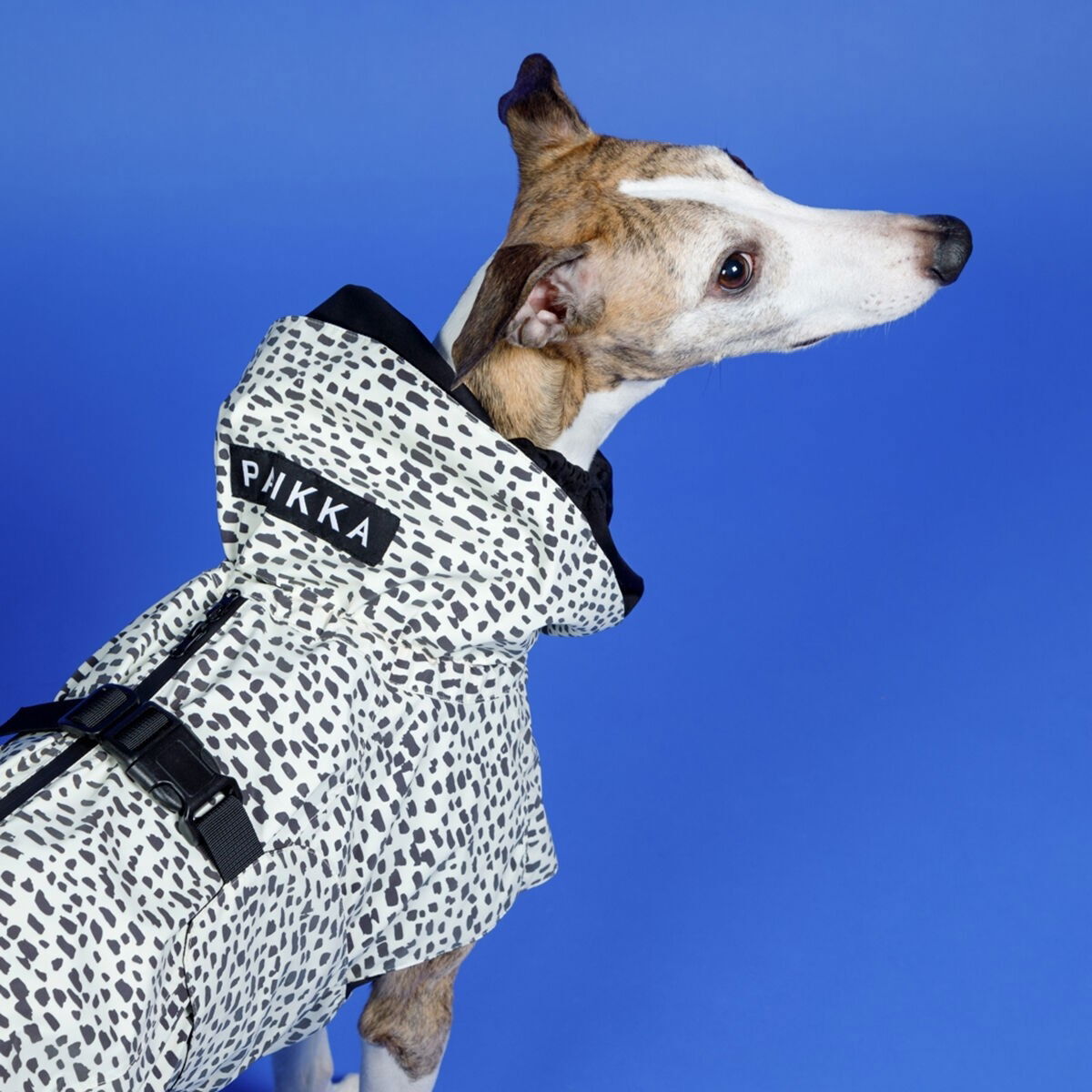 PAIKKA Raincoat 2.0