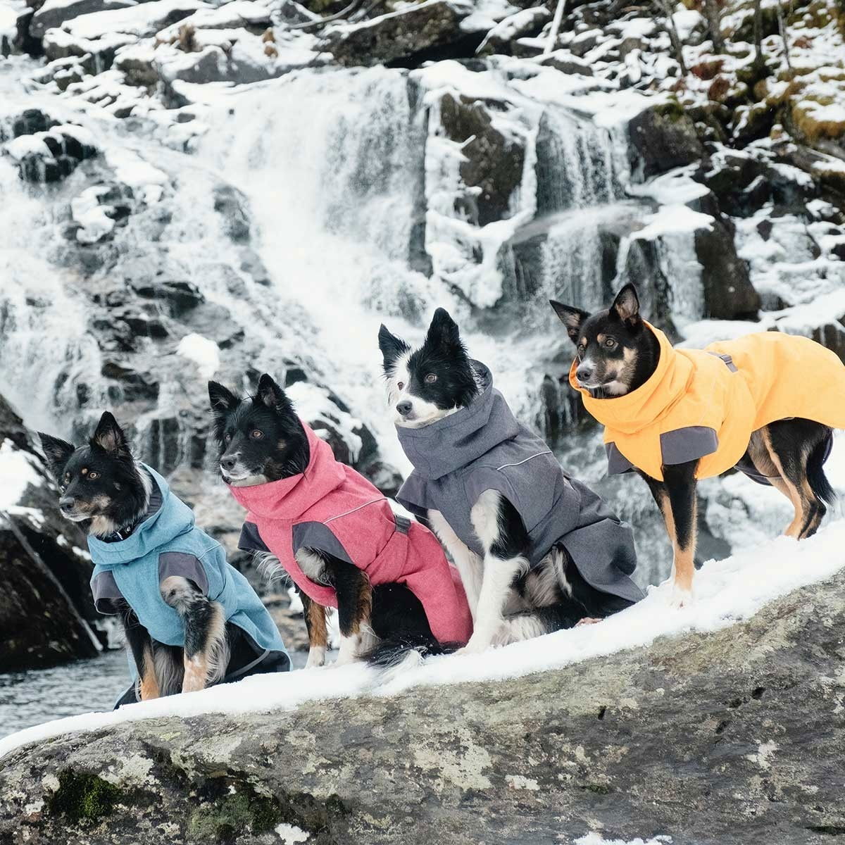 Hurtta Expedition Parka buckthorn