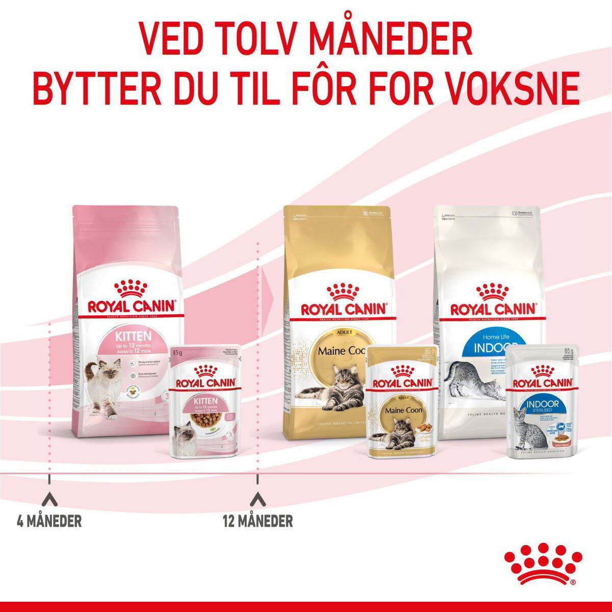 Royal Canin Kitten Gravy våtfôr til kattunge