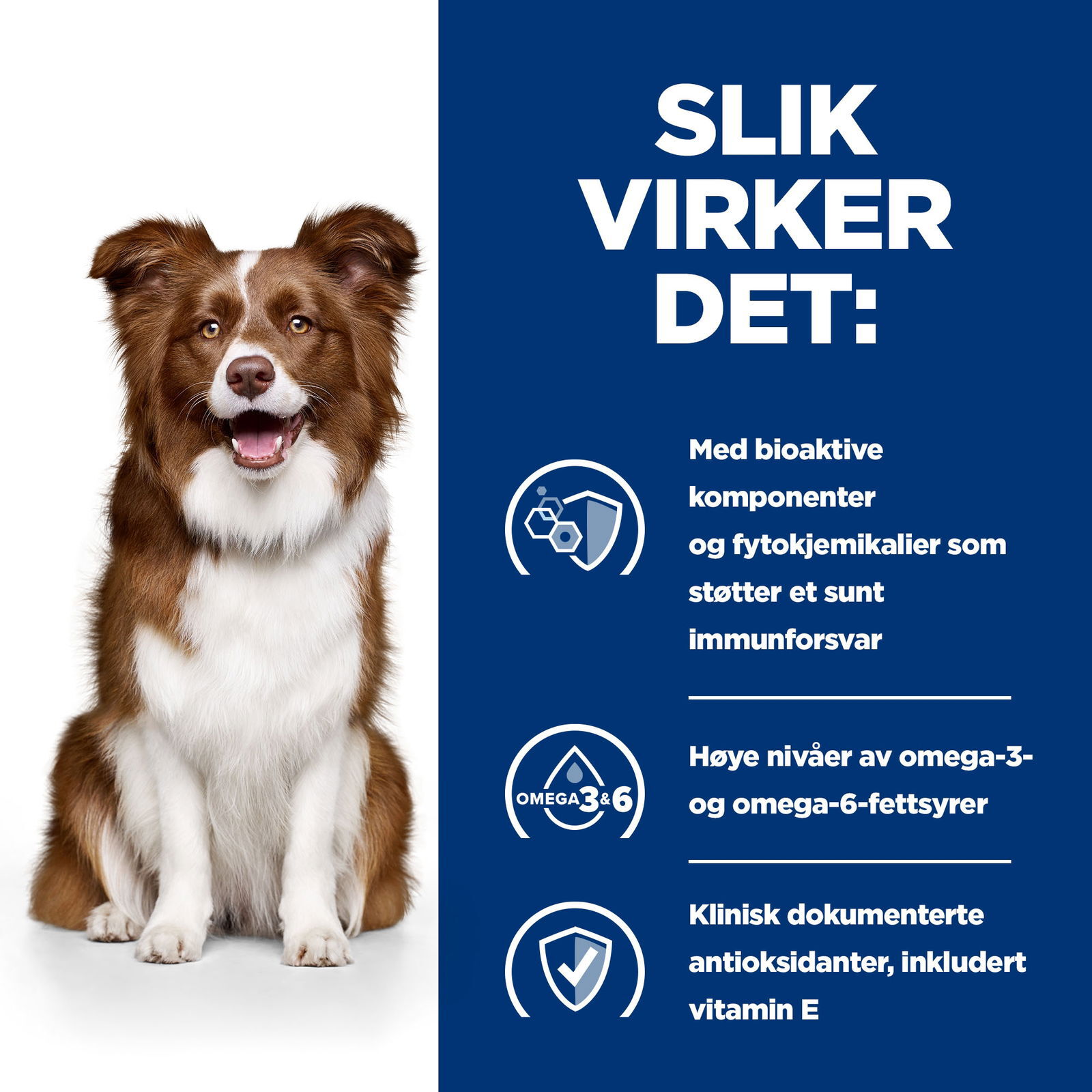 Hills Diet Dog Derm Defense 2kg