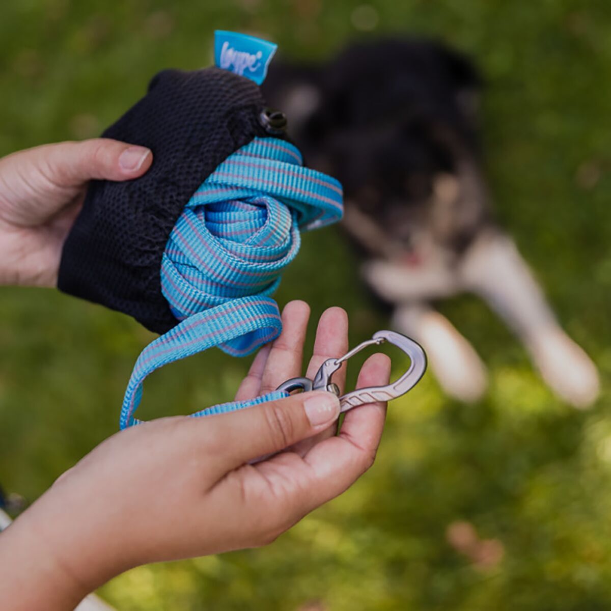 Loype Saxana Tracking Line