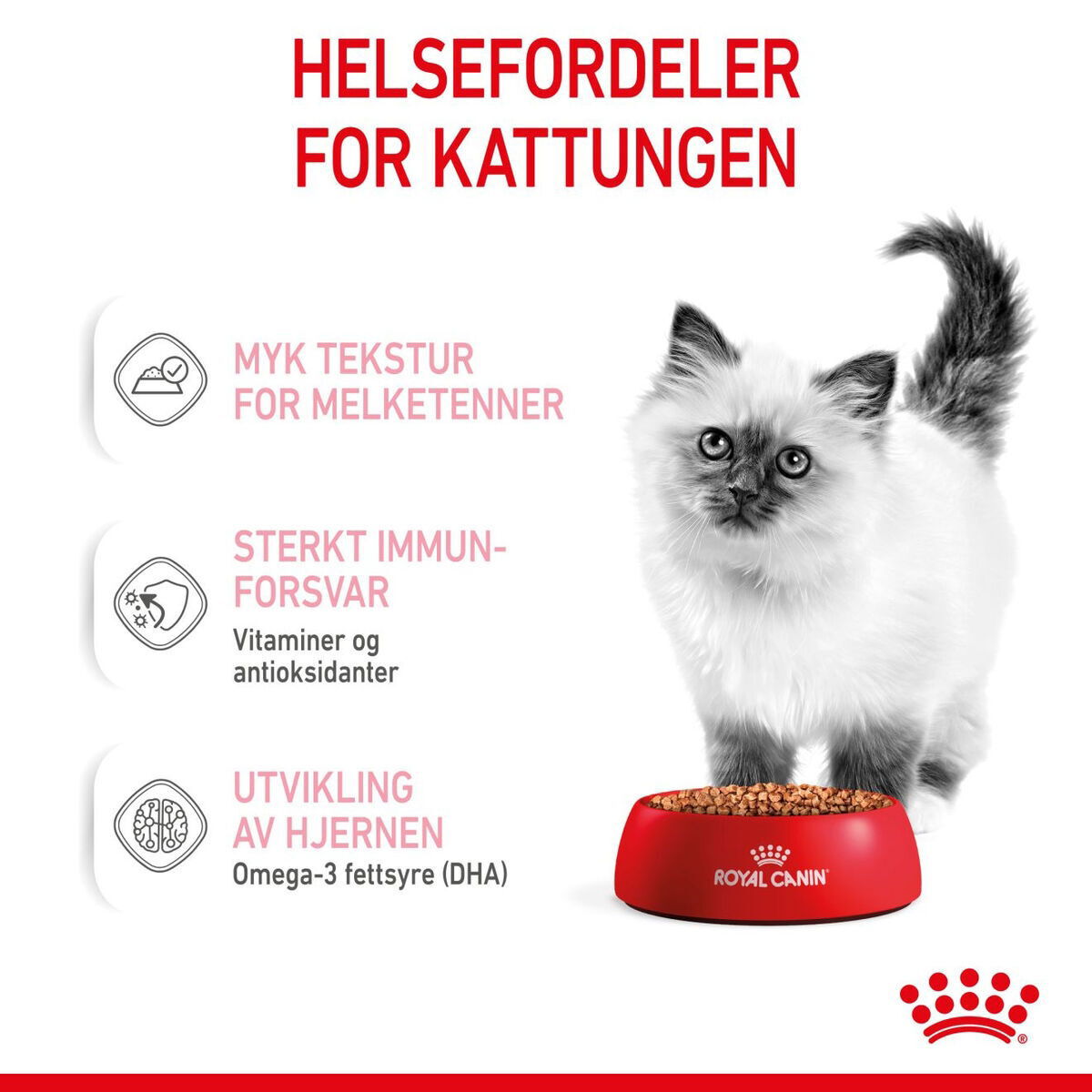 Royal Canin Kitten Gravy våtfôr til kattunge