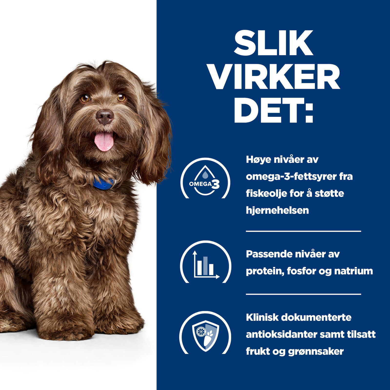 Hills Diet Dog b/d