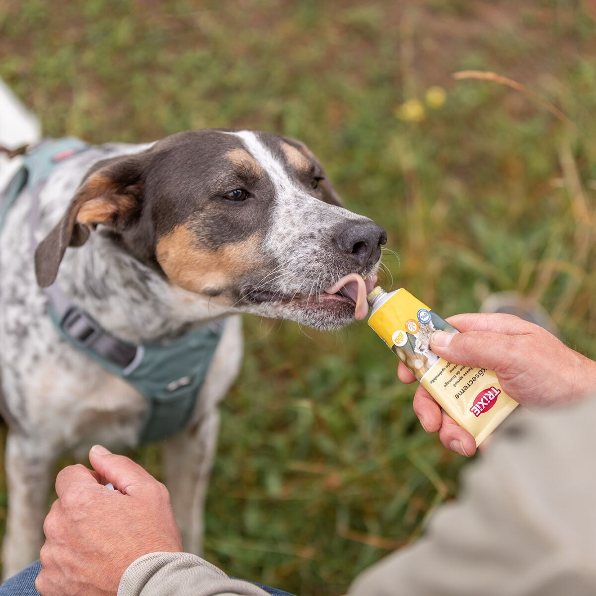 Trixie Cheese Cream 75 g