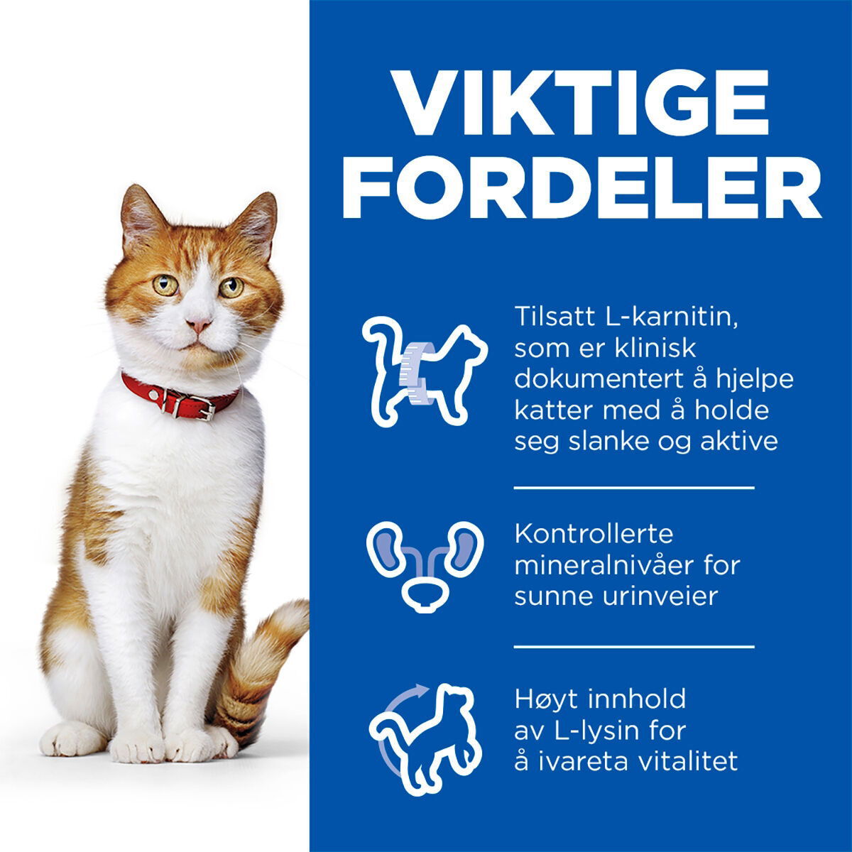 Hill's SP Feline Adult Sterilised Salmon