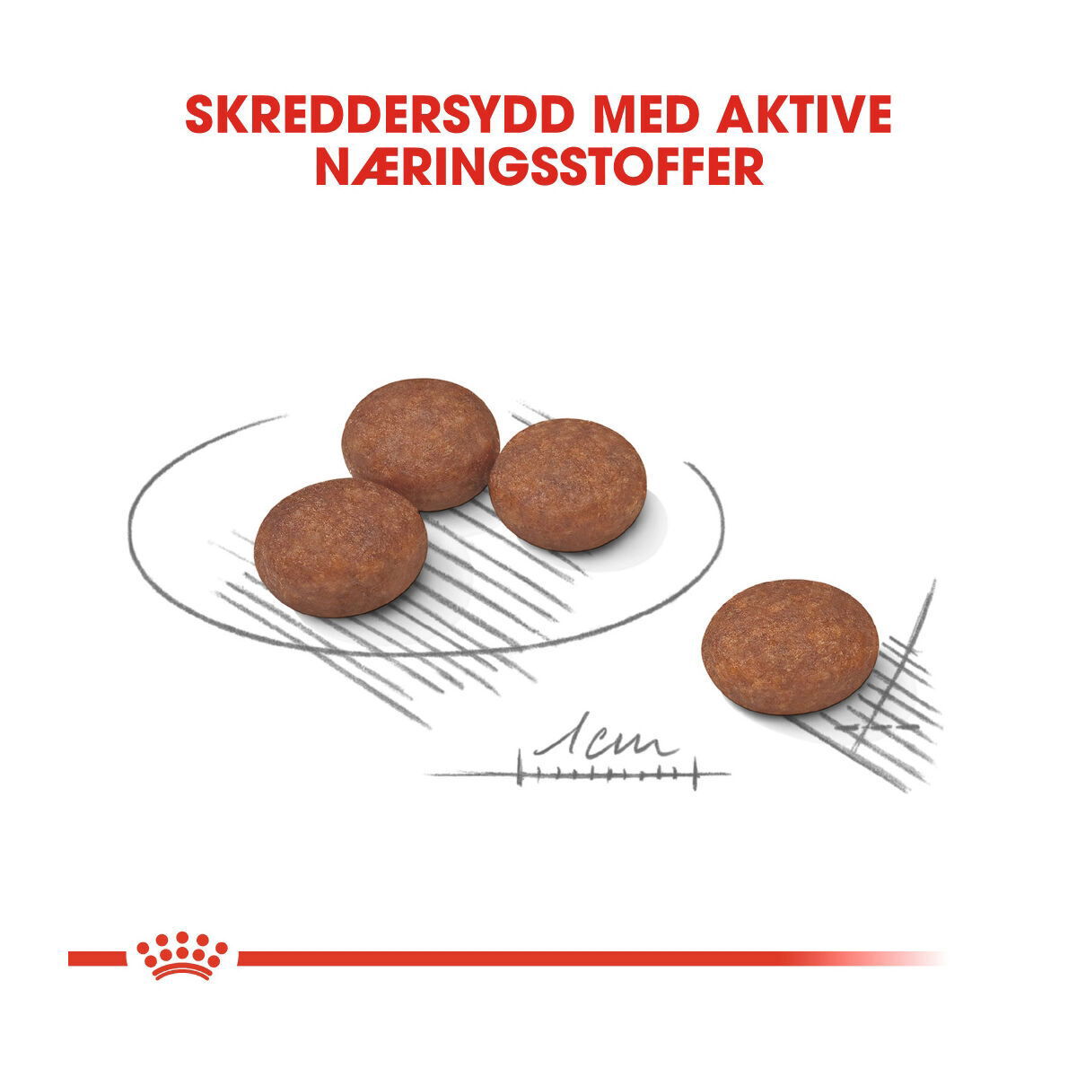 Royal Canin Mini Digestive Care